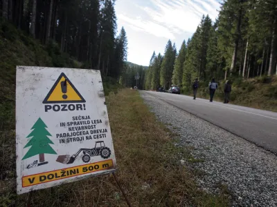 - Pokljuka - poklju&scaron;ki gozdovi gostili politike - Zavod za gozdove Slovenije je povabil člane odbora DZ za za kmetijstvo, gozdarstvo in prehrano, da bi se na lastne oči prepričali kako poteka sečnja in spravilo v ujmah po&scaron;kodovanega lesa  ///FOTO: Luka CjuhaOPOMBA: ZA OBJAVO V ČASOPISU DNEVNIK