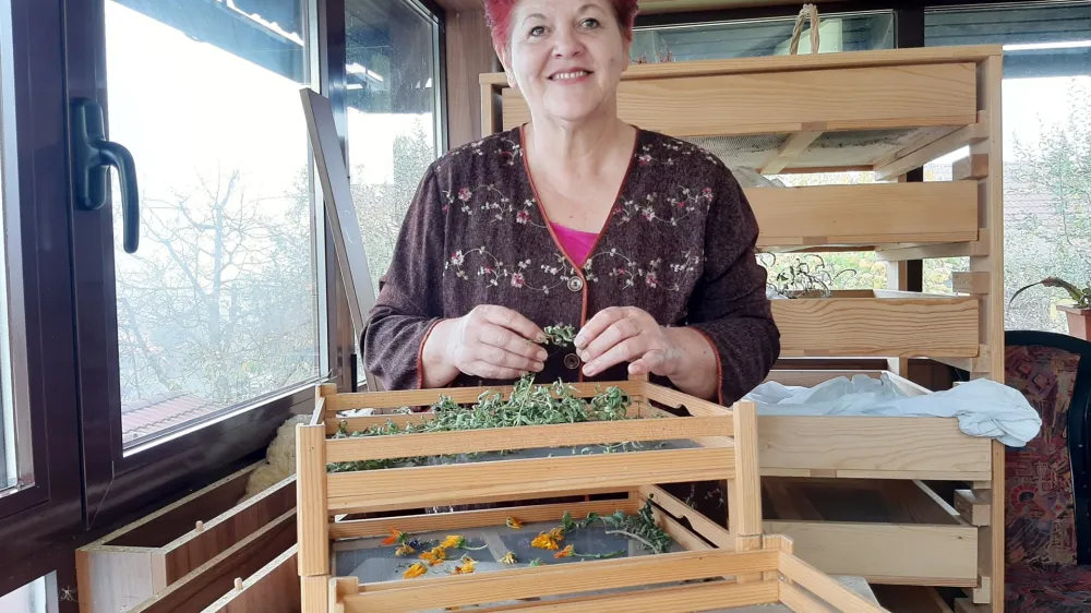 &raquo;Rastline moramo znati me&scaron;ati skupaj, da se različni okusi lepo povežejo med seboj,&laquo; poudarja ljubiteljska zeli&scaron;čarica Vanja Ločni&scaron;kar. Foto: Tina Jereb