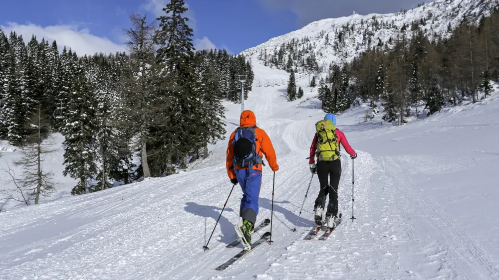 Izbirajmo poti za turno smuko z mislijo na živali, ki živijo v tem okolju.