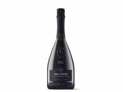 V hotelu Kempinski Palace Portorož so na Festivalu penin, ki je potekal ob koncu minulega leta, izbrali najbolj&scaron;o slovensko peneče vino. Na festivalu je sodelovalo prek 40 vinskih hi&scaron; iz Slovenije in tujine, ki so predstavile več kot sto penin in &scaron;tiri &scaron;ampanjce. Za najbolj&scaron;e peneče vino se je potegovalo 23 vinarjev z 48 različnimi peninani, zmagala pa je zlata radgonska penina mill&eacute;sime 2004 brut.