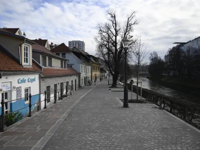 - 10.01.2023 - Petkov&scaron;kovo nabrežje &ndash; obnovljen drevored - //FOTO: Nik Erik Neubauer