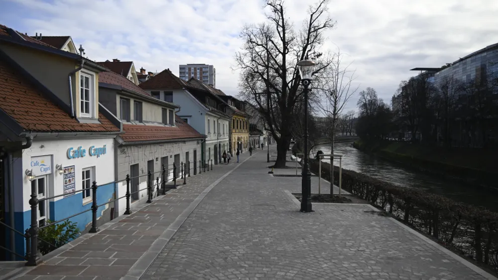 - 10.01.2023 - Petkov&scaron;kovo nabrežje &ndash; obnovljen drevored - //FOTO: Nik Erik Neubauer