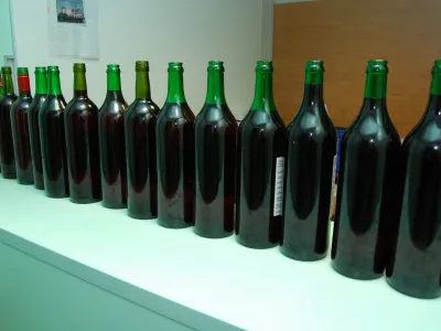 Letno ocenjevanje cviček