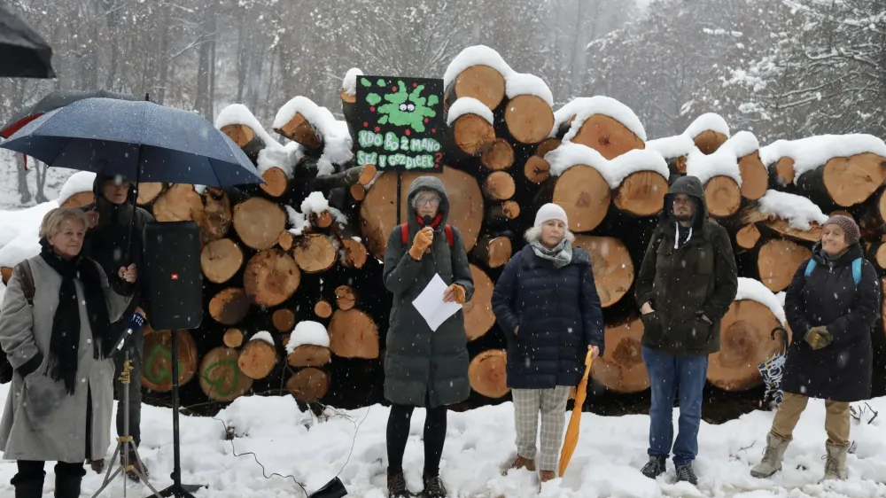 Protest proti sečnji dreves na Rožniku, Rožnik