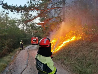 Lansko leto je zaznamoval požar na gori&scaron;kem Krasu, zato ni nenavadno, da je beseda leta postala beseda gasilec.&nbsp;