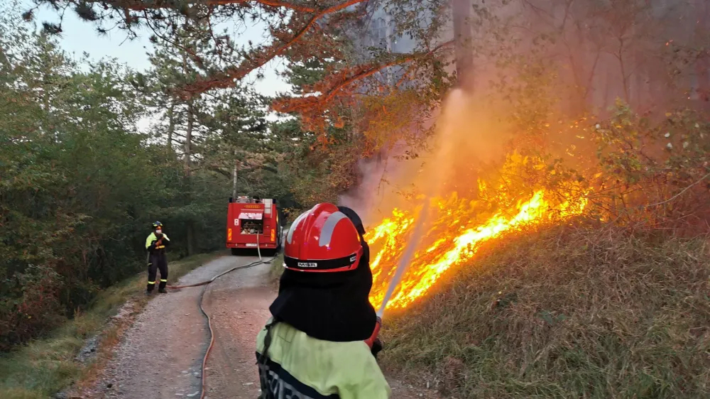 Lansko leto je zaznamoval požar na gori&scaron;kem Krasu, zato ni nenavadno, da je beseda leta postala beseda gasilec.&nbsp;