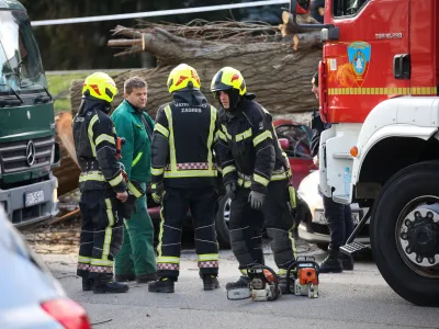 03.02.2023., Zagreb - Jak vjetar na Fallerovom setalistu srusio je stablo jablana na parkiraliste te ostetio vise vozila. Photo: Zeljko Hladika/PIXSELL