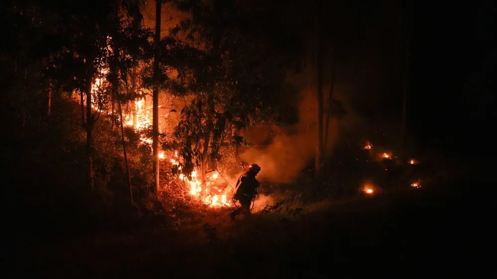 A firefighter fights flames caused by wildfires in Puren, Chile, Saturday, Saturday, Feb. 4, 2023. Forest fires are spreading in southern and central Chile, triggering evacuations and the declaration of a state of emergency in some regions. (AP Photo/Matias Delacroix)