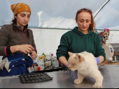 Veterinar Zinnet Patan, desno, in veterinarski tehnik Elif Akhan pregledujeta po&scaron;kodovano mačko v terenski bolni&scaron;nici za živali v Antakiji [Patrick Keddie/Al Jazeera] 
