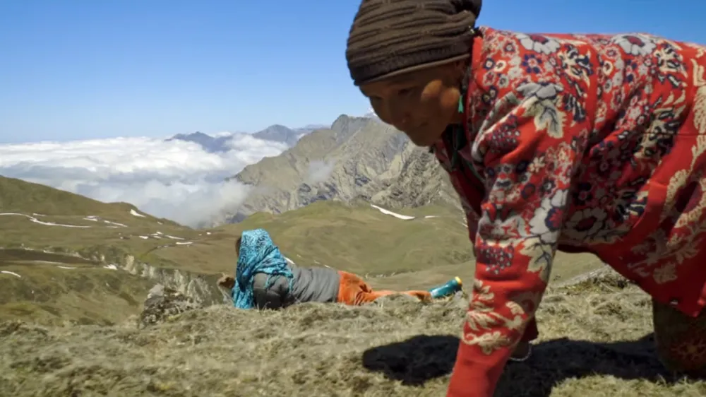 Dokumentarec Goba z vrha sveta je posnel antropolog Matjaž Pinter. Yarsagumba je redka goba, znana tudi kot himalajsko zlato. Pred desetletjem je Nepal zajela prava gobarska mrzlica. Foto: arhiv DEF