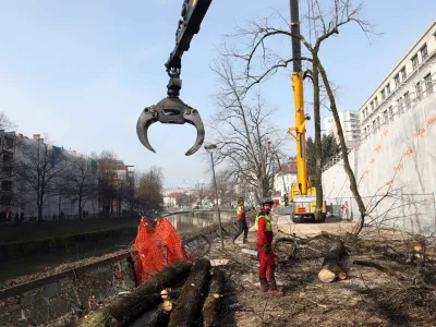 - sečnja prvih treh lip - - 22.03.2023 &ndash; Petkov&scaron;kovo nabrežje &ndash; obnova drevoreda - odstranjevanje nestabilnih dreves med Resljevo in Rozmanovo ulico - //FOTO: Tomaž Skale