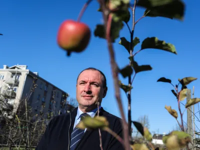 - 04.12.2018 - izr. prof. dr. Andrej Simončič, direktor KIS - Kmetijski in&scaron;titut Slovenije, predsednik Sveta RS za kmetijstvo in podeželje  //FOTO: Jaka Gasar