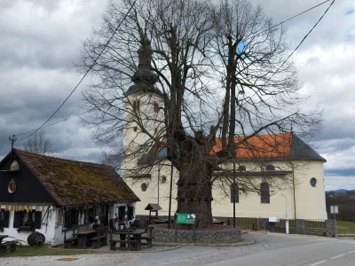 Gornja Stubica, lipa Matija Gubca