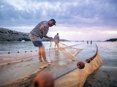 Vlečenje ribi&scaron;ke mreže na Loparju