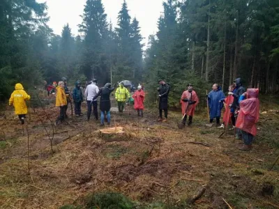 Prostovoljci so v Mo&scaron;ah na degradiranem območju zaradi napada podlubnikov posadili tisoč drevesc hrasta in gorskega javorja.