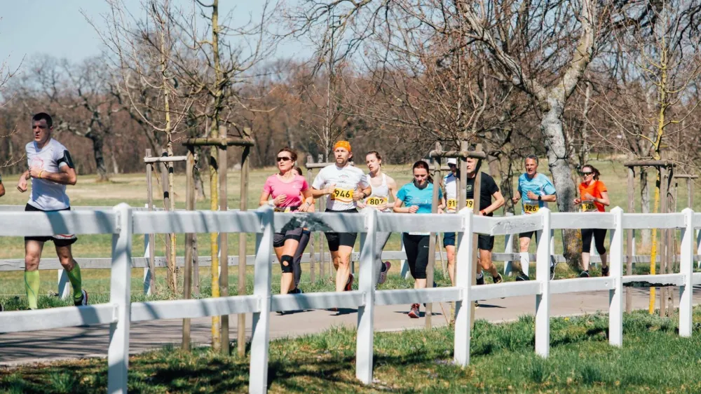 Nova teka&scaron;ka pot v Lipici (Kobilarna in Generali)