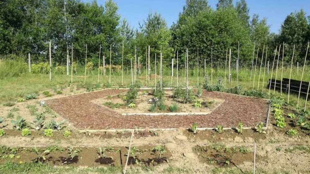 Medoviti učni vrt na Grbi