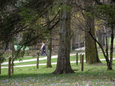 - 21.03.2017 - Park Tivoli - Mednarodni fenolo&scaron;ki vrt, ki je bil ustanovljen leta 1959 in sodi v mednarodno mrežo evropskih fenolo&scaron;kih vrtov in je edini tovrstni park v Sloveniji - proučevanje podnebnih sprememb in njihov vpliv na rastline - fenolo&scaron;ka opazovanja - //FOTO: Matjaž Ru&scaron;t