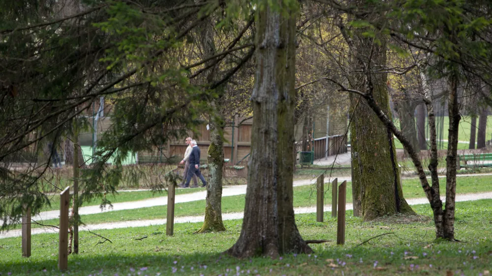 - 21.03.2017 - Park Tivoli - Mednarodni fenolo&scaron;ki vrt, ki je bil ustanovljen leta 1959 in sodi v mednarodno mrežo evropskih fenolo&scaron;kih vrtov in je edini tovrstni park v Sloveniji - proučevanje podnebnih sprememb in njihov vpliv na rastline - fenolo&scaron;ka opazovanja - //FOTO: Matjaž Ru&scaron;t