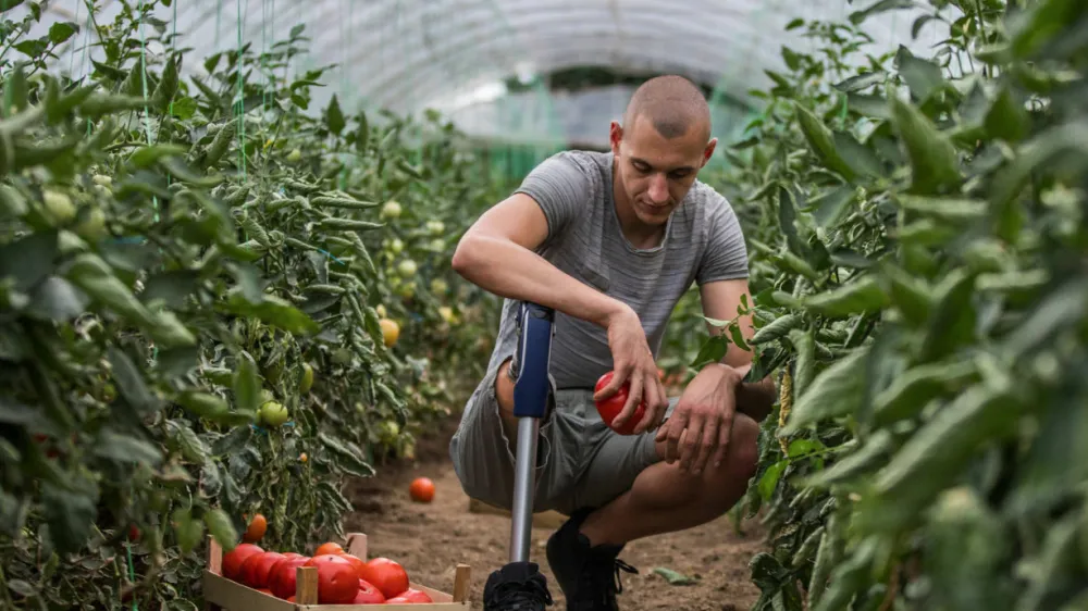 Aktivno zaposlovanje invalidov pospe&scaron;uje razplete dobrih zgodb kot dokaz, da se vse da, če se hoče. Del projekta Vsi drugačni, vsi s potenciali je tudi raziskava o trenutnem stanju na področju zaposlovanja invalidov na slovenskem trgu &ndash; rezultati bodo znani že junija. 