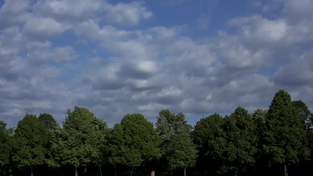 - oblaki - drevesa - narava - <br><br><br>- 59. Pohod ob žici Ljubljana 2015 - Pot ob žici - otroci iz ljubljaskih vrtcev na poti okoli žice - &Scaron;i&scaron;ka               //FOTO: Jaka Gasar