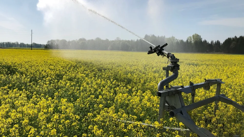 kmetijstvo, su&scaron;a, namakanje, polje, kmetija Krabonja, Mihovci pri Ormožu. Foto: Primož Krabonja 