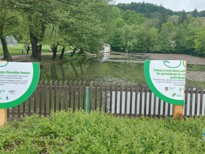 Po&scaron;kodovane table ob tivolskem ribniku