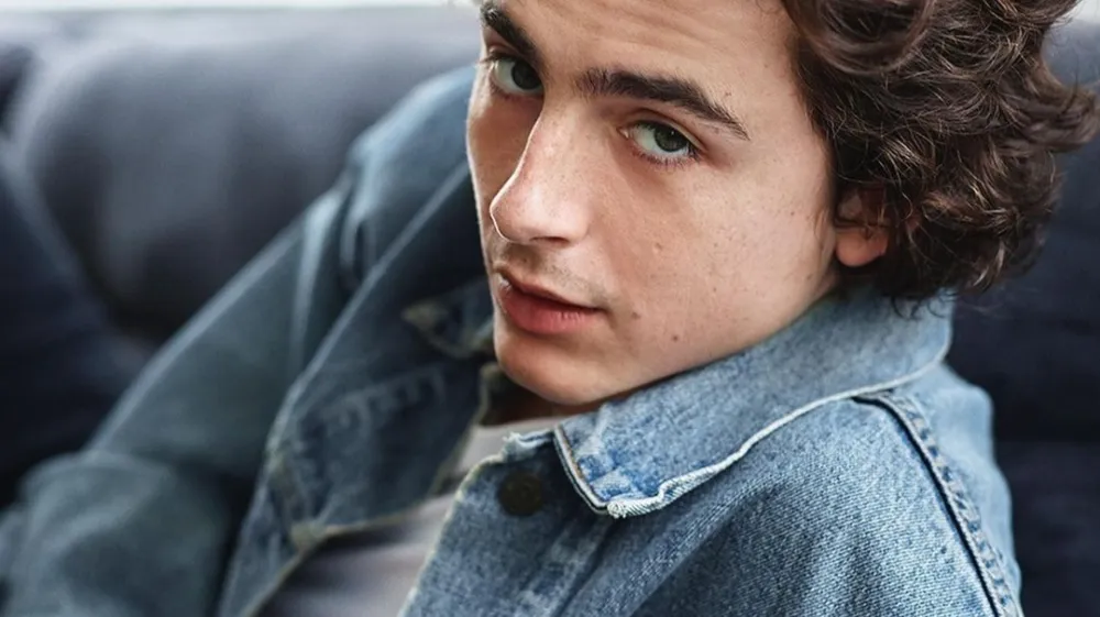 Timoth&eacute;e Chalamet 