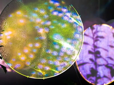 Camila Mejia in Erik W&auml;lz: Mikroplasti, svetlobna instalacija, Svetlobna gverila 2023