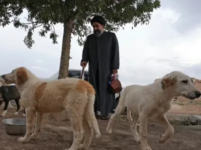 Sayed Mahdi Tabatabaei svojim več kot 80.000 sledilcem redno objavlja srce parajoče zgodbe o zlorabljenih in zanemarjenih psih, ki jih zdravi v svojem zaveti&scaron;ču.