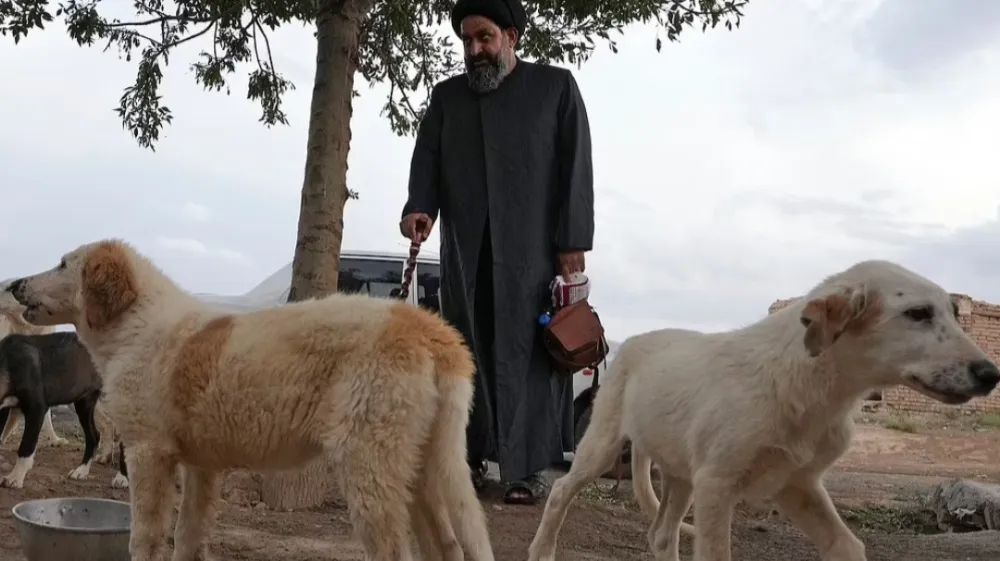 Sayed Mahdi Tabatabaei svojim več kot 80.000 sledilcem redno objavlja srce parajoče zgodbe o zlorabljenih in zanemarjenih psih, ki jih zdravi v svojem zaveti&scaron;ču.