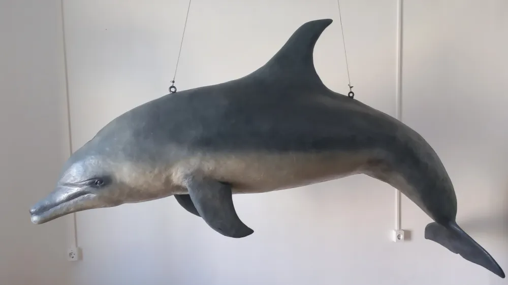 Kip delfina v naravni velikosti, ki je na ogled v Centru o delfinih. F Dru&scaron;tvo Morigenos 