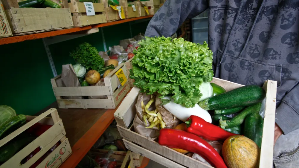 Moj eko vrt - Ekolo&scaron;ka kmetija Studen<br>- sadje in zelenjava -//FOTO: Luka Cjuha