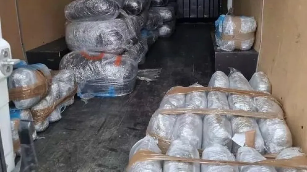 V razbitju kriminalne združbe so med drugim zasegli okoli 300 kilogramov konoplje. 