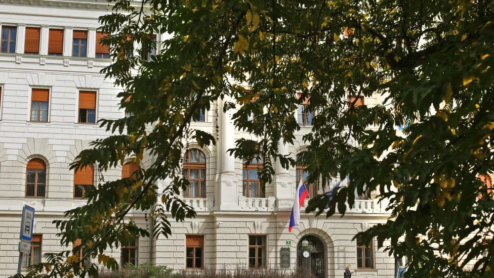 &nbsp; &nbsp; &nbsp;