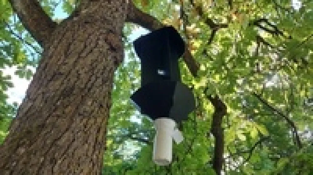 Lovilne feromonske pasti - hro&scaron;č pu&scaron;čavnih - Krajinski park Tivoli, Tožnik in &Scaron;i&scaron;enski hrib<br>