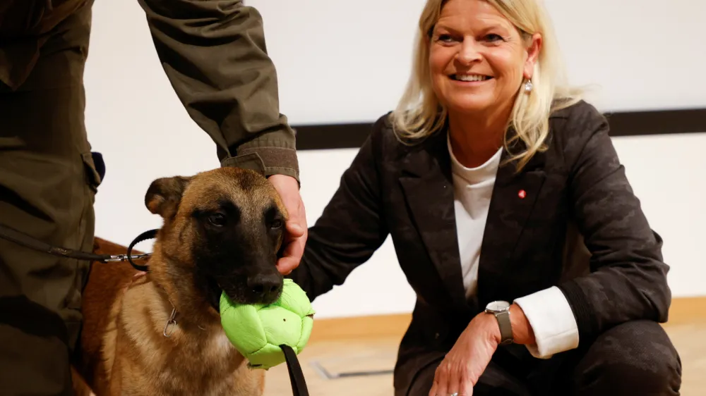 Austria's Defence Minister Klaudia Tanner pets Fantasy, a sniffer dog trained to detect the coronavirus disease (COVID-19), next to a trainer during a news conference in Vienna, Austria November 2, 2021. REUTERS/Leonhard Foeger