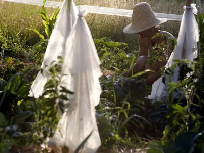 Leonora Jakovljevič, - Zveza združenj ekolo&scaron;kih kmetov Slovenije - Zveza Biodar, akcija programa Bio užitek - Dan s kontrolorjem za ekolo&scaron;ko kmetijstvo v Preserjah - kontrola ekolo&scaron;ko predelane hrane na kmetiji Jože Knap, Rakitna 5, ekolo&scaron;ka kmetija //FOTO: Bojan Velikonja