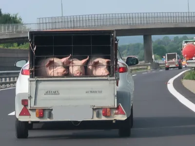 avtocesta, pra&scaron;iči, prevoz. Foto: Tatjana PIhlar 