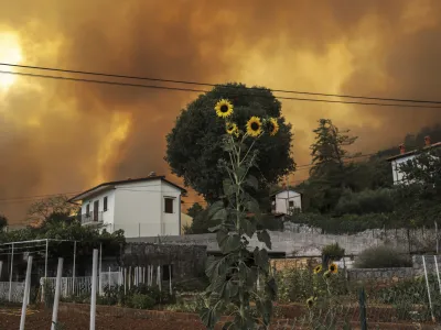 Kras - Brestovica pri Komnu - prizori&scaron;če požara in leto dni kasneje //FOTO: Jaka Gasar