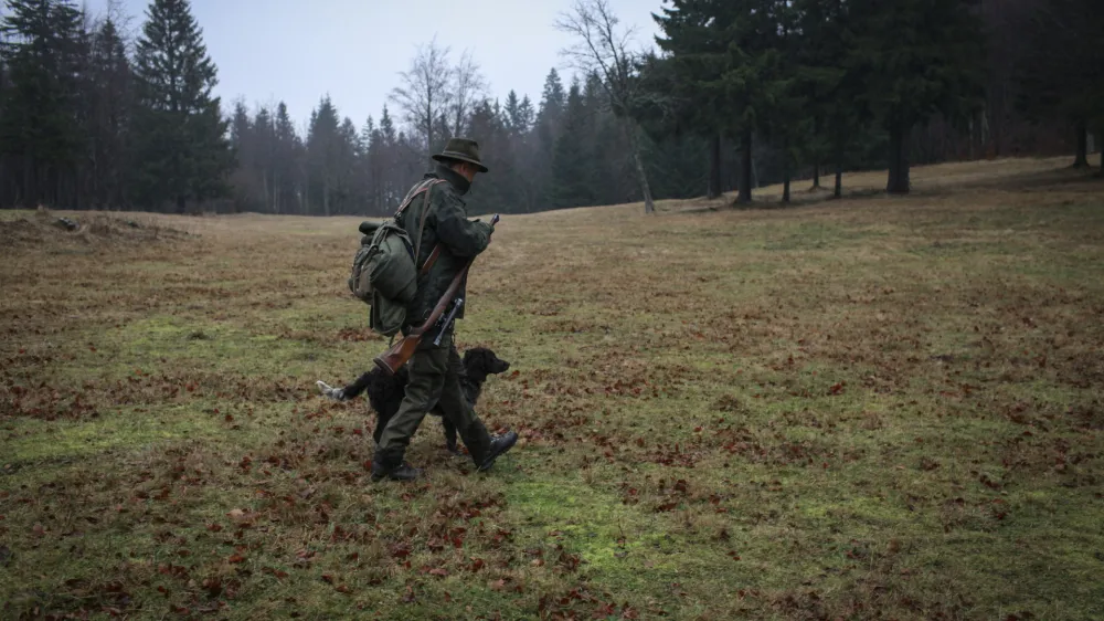 ?lovec - jager - orožje - lovski pes- 11.1.2014 - Lovi&scaron;če z posebnim namenom (LPN) v območni enoti Snežnik - lovna povr&scaron;ina - lovstvo - divjad//FOTO: Luka Cjuha 