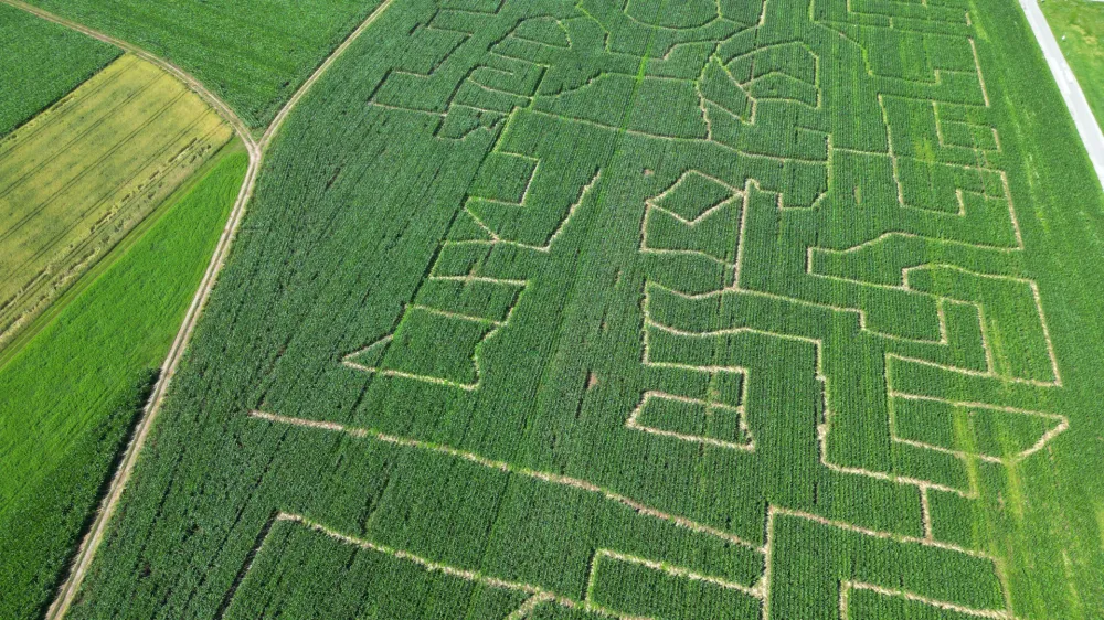 Zmagovalec natečaja Tin Kovačič si je leto&scaron;nji labirint v Kranju zamislil na temo vesolja.&nbsp;