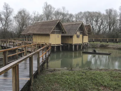 - koli&scaron;čarska naselbina Morostig &ndash; hi&scaron;a narave in koli&scaron;č. - 01.12.2022 &ndash; IG &ndash; Interpretacijski center - odprtje razstave in koli&scaron;čarske naselbine - zaključek operacije Interpretacija biotske raznovrstnosti in dedi&scaron;čine koli&scaron;č na Ljubljanskem barju (Na-kolih) //FOTO: Jaka Gasar