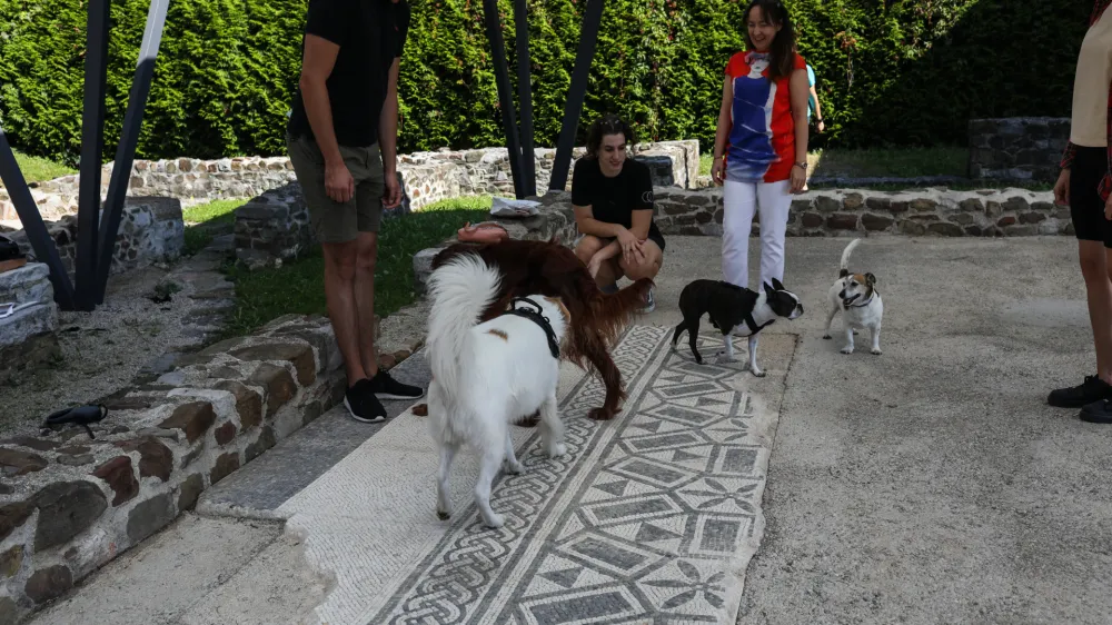 - 10.09.2023. Voden ogled po Emoniki namenjen lastnikom psov s psi. Ogled arheolo&scaron;kih ostankov rimskega mesta Emonika.//FOTO: Bojan Velikonja