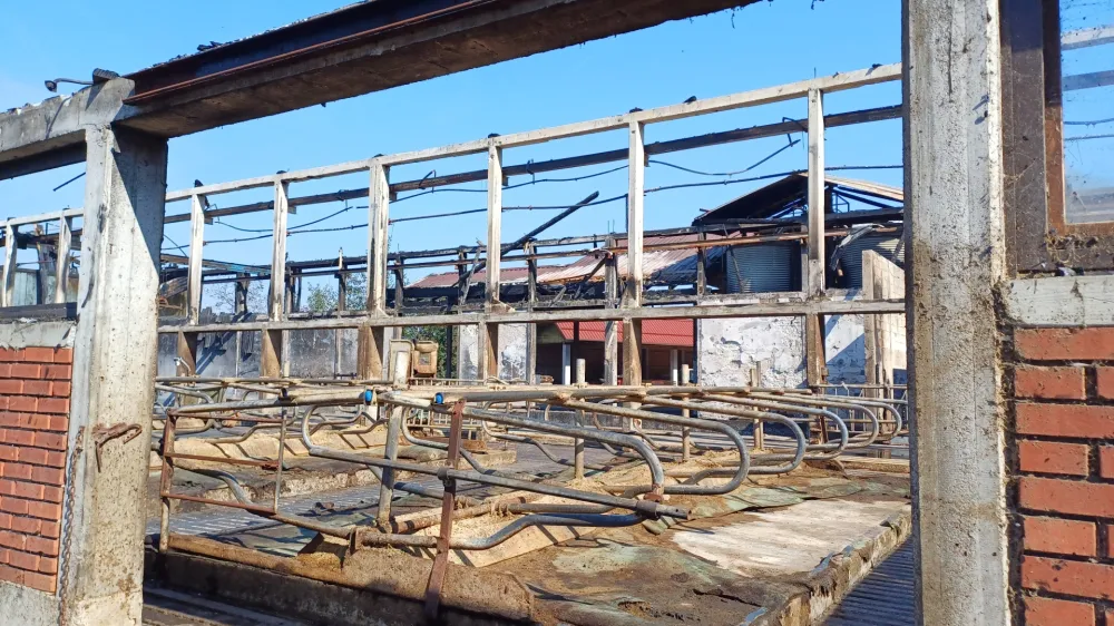 &Scaron;koda po obsežnem požaru, kakr&scaron;nega domačini ne pomnijo, je ogromna in po prvih izračunih ocenjena na tri do &scaron;tiri milijone evrov.