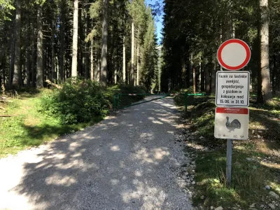 Triglavski narodni park