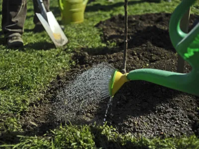 - Vrtički v Ljubljani 2013 - delo na vrtu - vrtičkarstvo - vrt - spomladanska setev - sajenje dreves - sadovnjak - zalivanje <br><br><br><br><br>//FOTO: Tomaž Zajel&scaron;nik