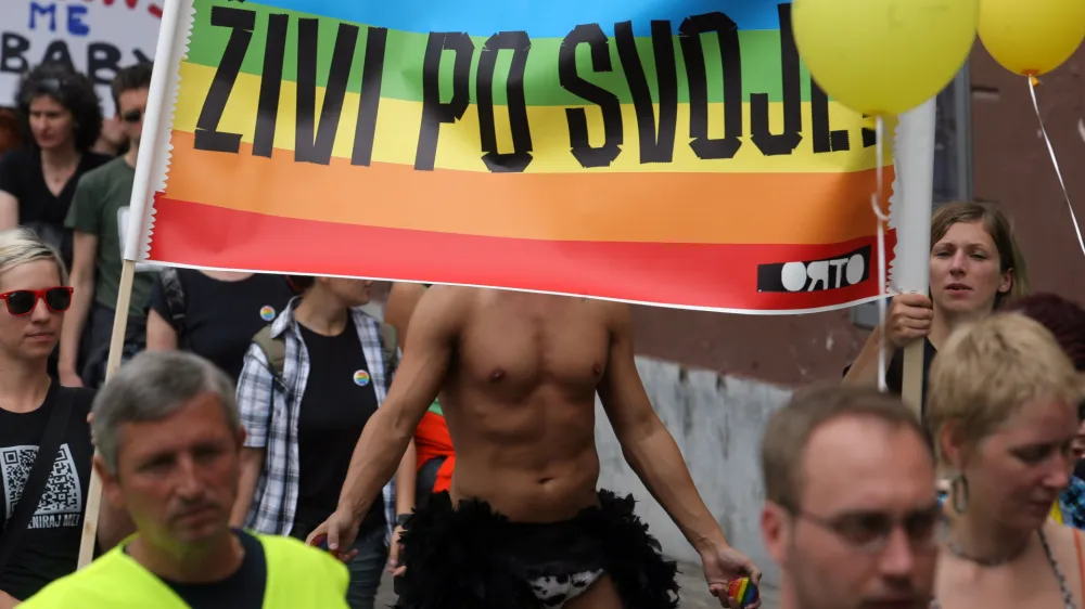 - Parada ponosa 2011 s sloganom &Scaron;e vedno čakamo ! - javna manifestacija lezbijk, gejev, biseksualcev in transseksualcev  //FOTO: Luka Cjuha