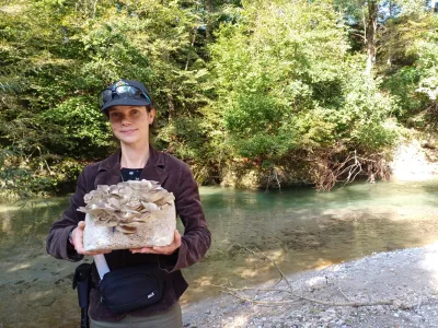 Katarina Grabnar Apostolides verjame v zdravilno moč gob, o čemer pripoveduje v priročni&scaron;kem vodniku po gobjem svetu Zadnja vijoličasta bledivka (Beletrina), katerega rdeča nit je njena osebna zgodba.