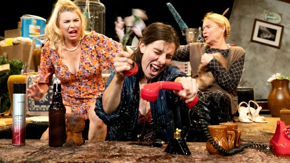 Predstava, s katero je Schwab segel naravnost v smrdljivo kloako člove&scaron;ke primitivnosti in izvlekel na plano vso banalnost in bizarnost člove&scaron;kega blata, bo na kranjskem odru prvič predstavljena v petek, 13. oktobra, ob 19. uri.&nbsp;